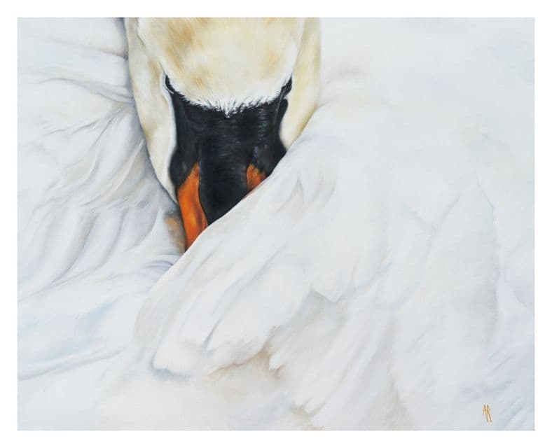 Anna Reed Artist | Beauty & Grace Swan Print | Anna Reed Fine Art ...