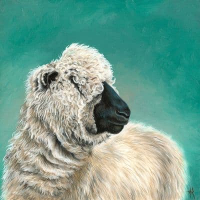 Anna Reed | Daisy Sheep Original