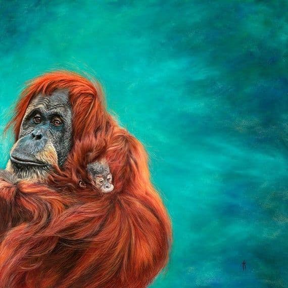 Anna Reed Artist | Protecting Hillda Orangutan Print | Anna Reed Fine Art | Orangutan Prints