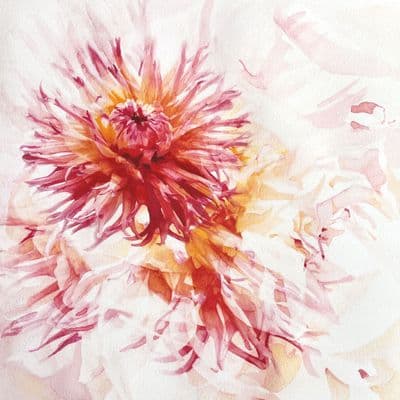 Aoife Tolerton | Afterglow Original