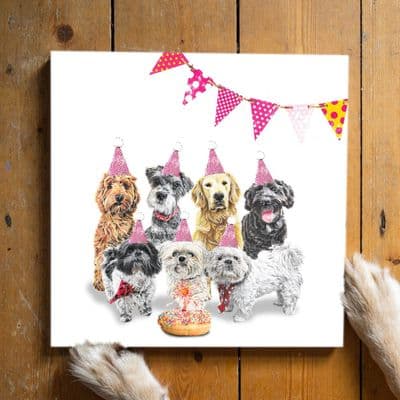 Aoife Tolerton | Big Dog Birthday Card