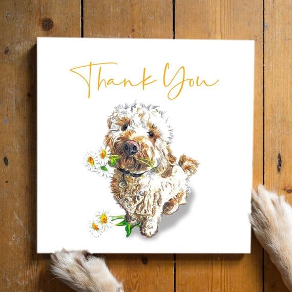 Aoife Tolerton Cards | Cockapoo Dog Thank You Card | Dog Birthday Cards