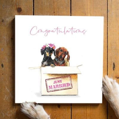 Aoife Tolerton | Dachshund Dog Wedding Card