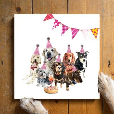 Aoife Tolerton | Dog Birthday Card