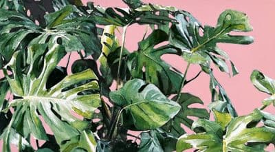 Aoife Tolerton | In the Tropics I Original