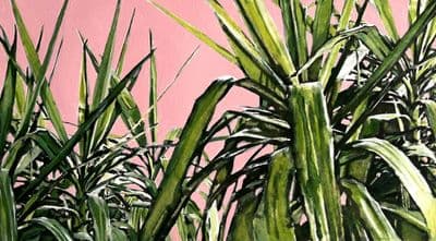 Aoife Tolerton | In the Tropics II Original