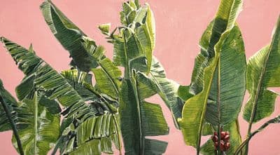 Aoife Tolerton | In the Tropics III Original
