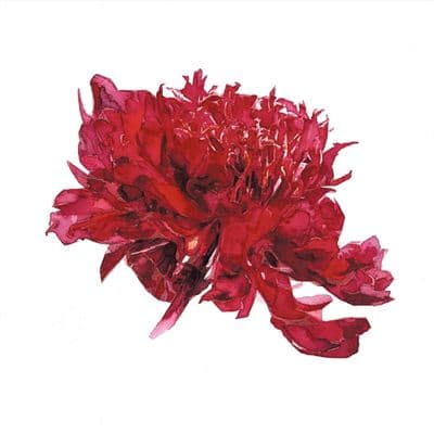 Aoife Tolerton | Looking Up Original