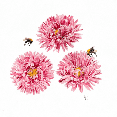 Aoife Tolerton | Pink Astors & Bees Original