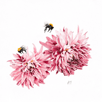 Aoife Tolerton | Pink Dahlia & Bees Original