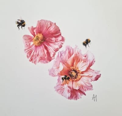 Aoife Tolerton | Poppies and Bees Original