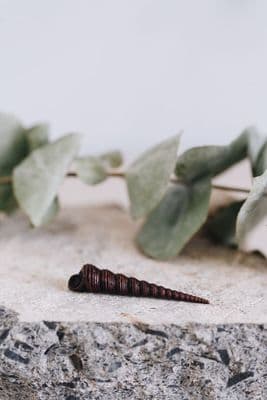 David Meredith | Miniature Bronze Cone Shell Sculpture