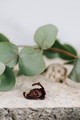 David Meredith | Miniature Bronze Mouse on Leaf Sculpture