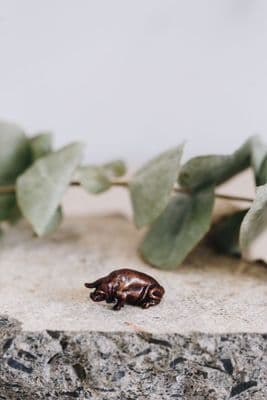 David Meredith | Miniature Bronze Pig Sculpture