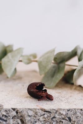 David Meredith | Miniature Bronze Turtle in Shell Sculpture