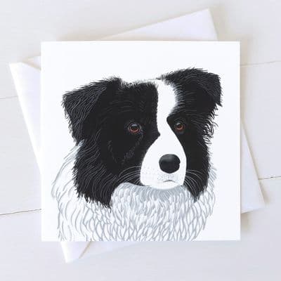 Diane Williams | Border Collie Dog Card