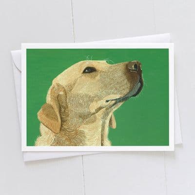 Diane Williams | Golden Labrador Dog Card