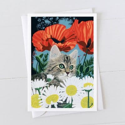 Diane Williams | Kitten Card