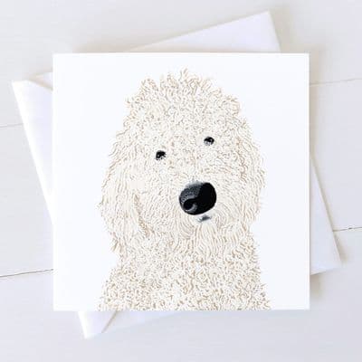 Diane Williams | Labradoodle Dog Card