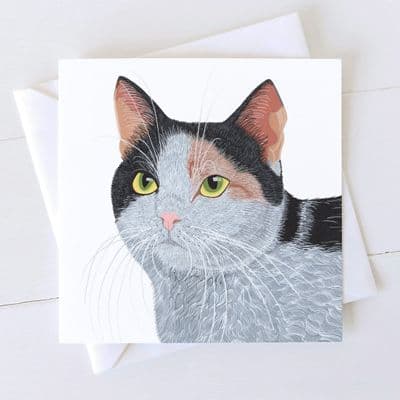 Diane Williams | Smartie Cat Card