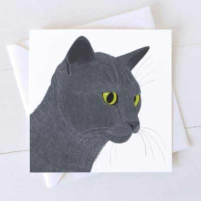 Diane Williams | Smokey Cat Card