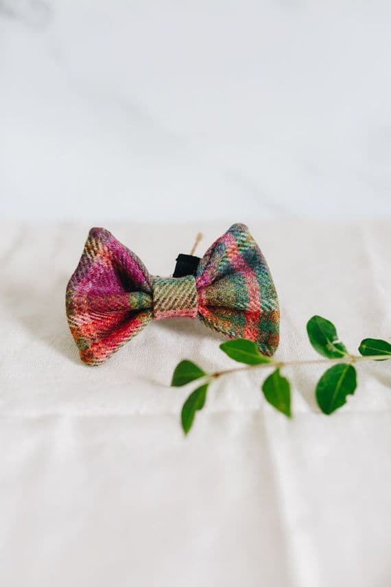 Don't Forget the Dog | Tweed Dog Dicky Bow Tie | Green