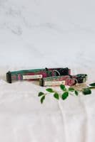 Don't Forget the Dog | Tweed Dog Collar | Green