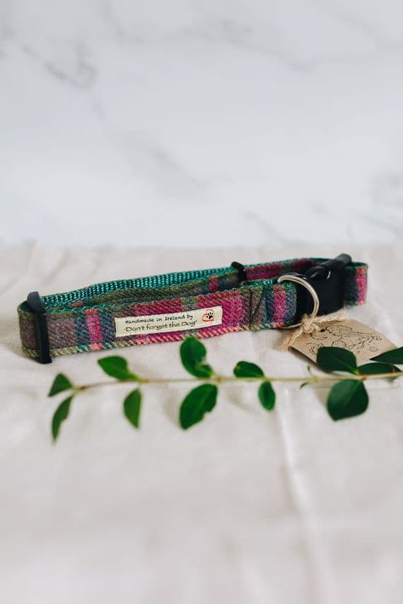 Don't Forget the Dog | Tweed Dog Collar | Green