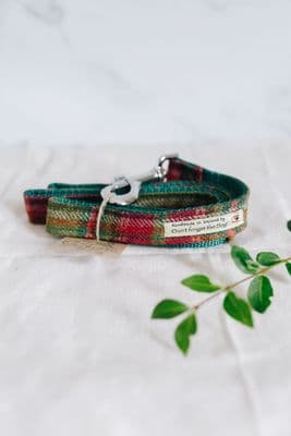 Don't Forget the Dog | Lead | Green