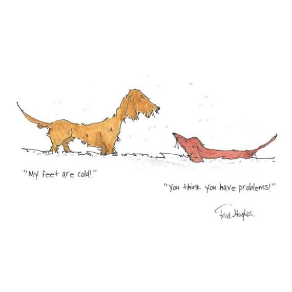 Fred Hughes Artist | My Feet Are Cold Cartoon Print | Dachshund Dog Print