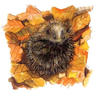 Gemma O'Neill | Cosy Hedgehog Print