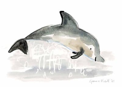 Gemma O'Neill | Dolphin II Original