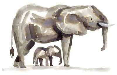 Gemma O'Neill | Elephant and Baby Print