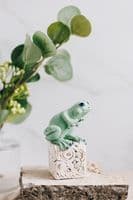 Gin Durham Ceramic Sculpture | Frog Sculpture | Ceramic Frog Sculpture
