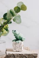 Gin Durham Ceramic Sculpture | Frog Sculpture | Ceramic Frog Sculpture