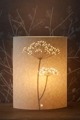 Hannah Nunn | Oval Cow Parsley Lamp