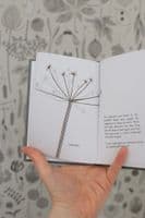 Hannah Nunn Lighting  | Tiny Treasures Book | Stories of Seeds, Pods & Feathers | Hebden Bridge