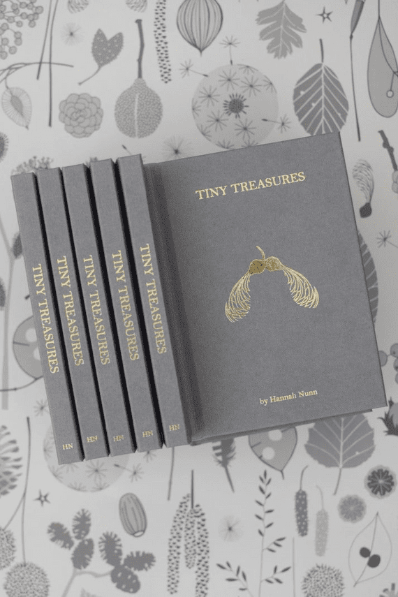 Hannah Nunn Lighting  | Tiny Treasures Book | Stories of Seeds, Pods & Feathers | Hebden Bridge