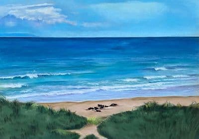 Jacqueline Baird | Cows on White Park Bay Print