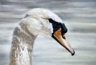 Jacqueline Baird | Elegance & Grace Swan Original