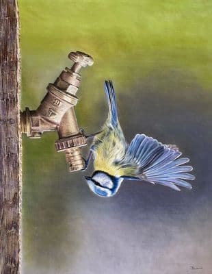 Jacqueline Baird | Tap Dancing Blue Tit Print