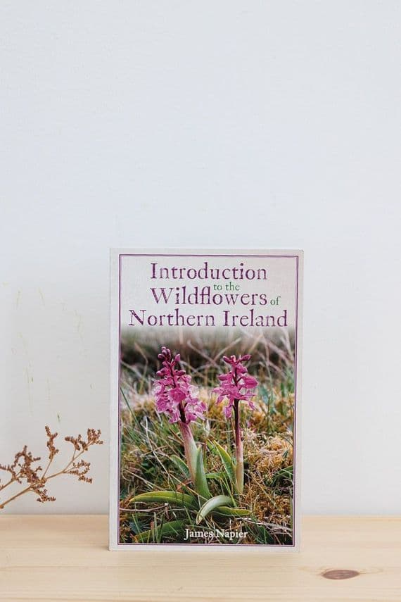 James Napier | Introduction to the Wildflowers of Northern Ireland