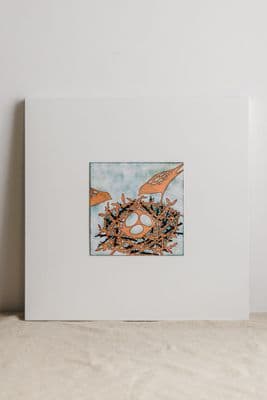 Janine Partington | The Nest