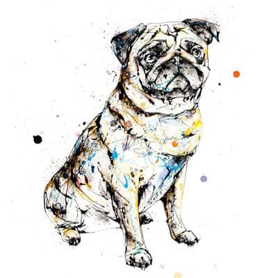 Kathryn Callaghan | Anticipation Pug Print