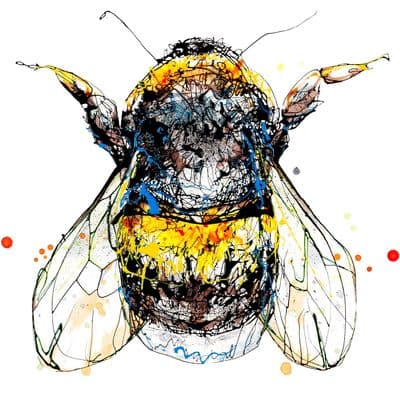 Kathryn Callaghan | Buzz Bee Print
