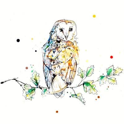 Kathryn Callaghan | Curio Owl Print