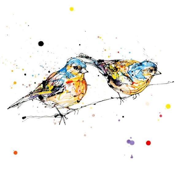 Kathryn Callaghan Artist | Did You See That? Chaffinches Bird Print | KC Fine Art | Northern Ireland