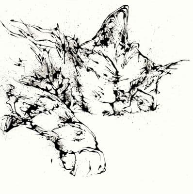 Kathryn Callaghan | Dreamer Cat Print