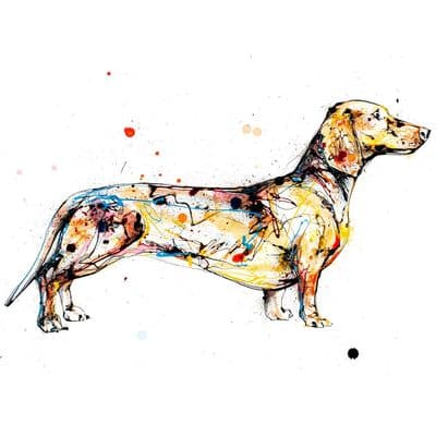 Kathryn Callaghan | Hopeful Dachshund Print