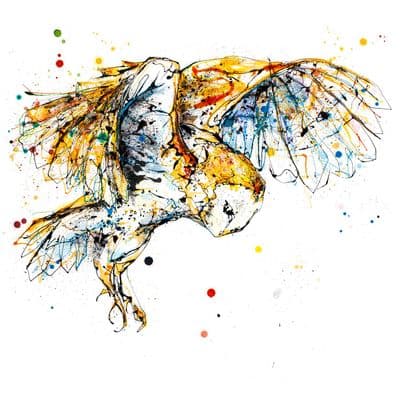 Kathryn Callaghan | Hover Print